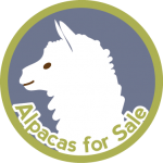 alpaca-badge